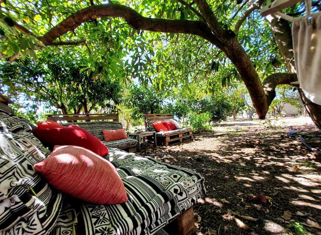 Quinta Da Norinha Hotell Portimão Exteriör bild