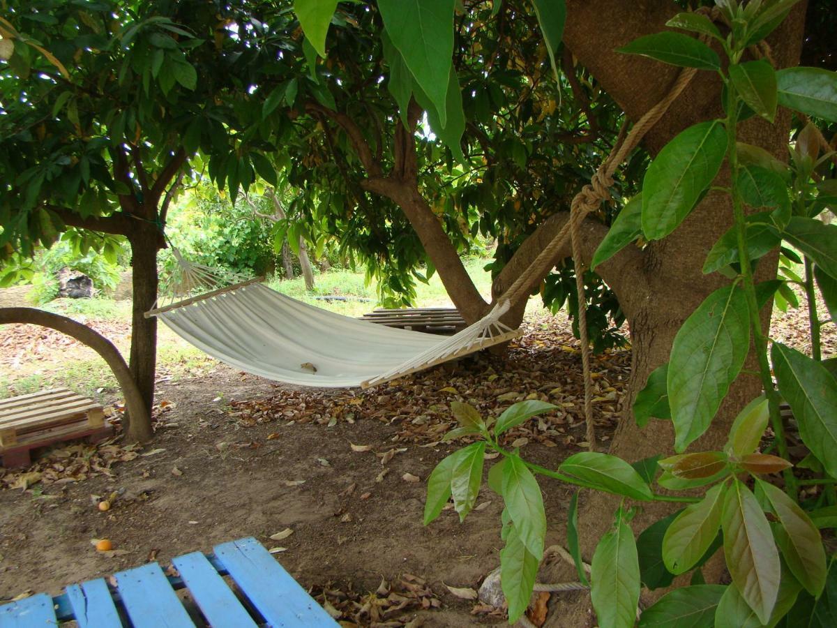 Quinta Da Norinha Hotell Portimão Exteriör bild